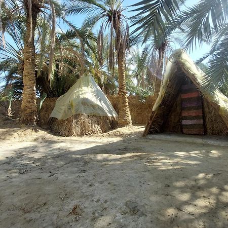 Forest Camp Siwa - كامب الغابة シワ・オアシス エクステリア 写真