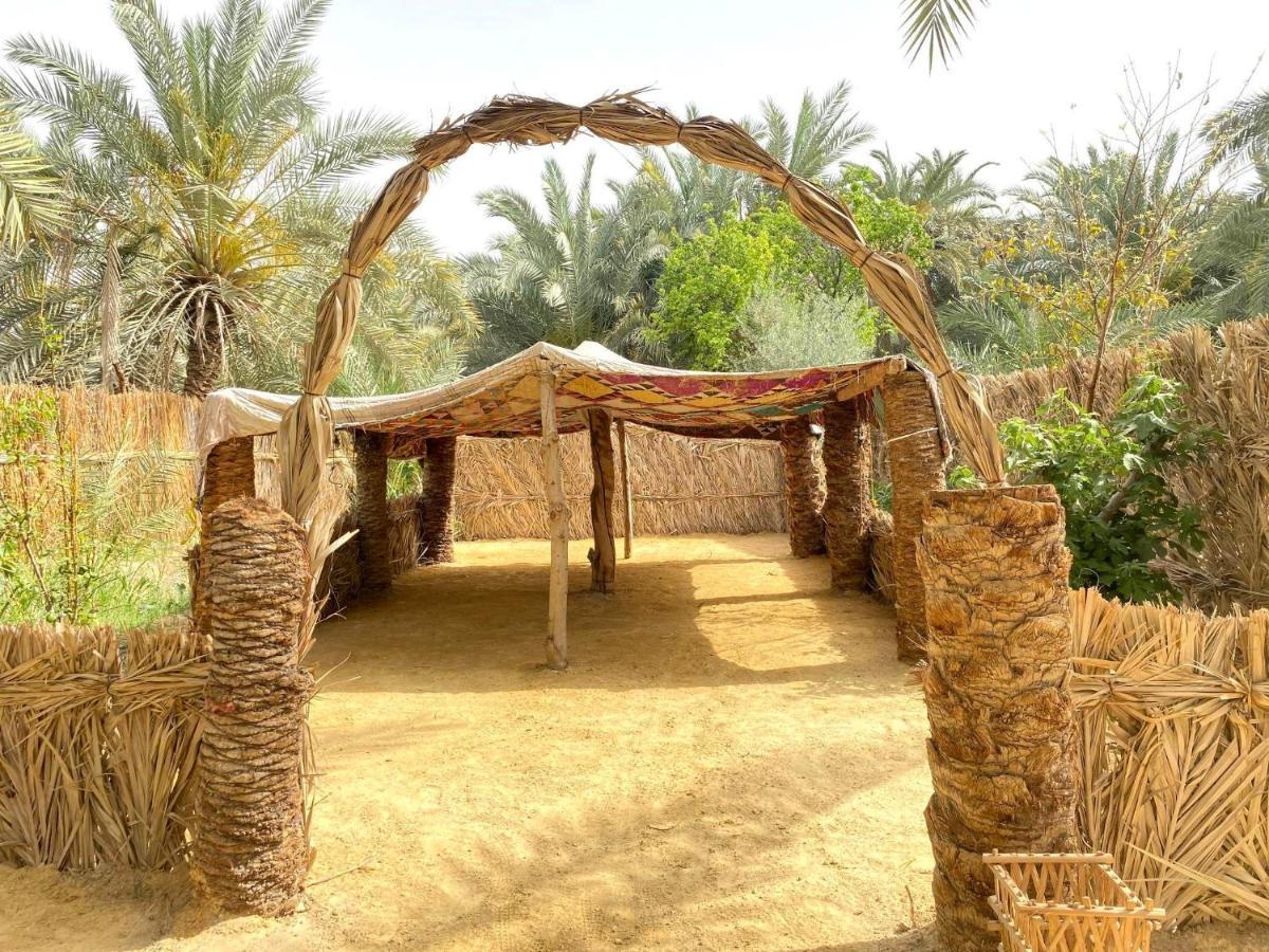 Forest Camp Siwa - كامب الغابة シワ・オアシス エクステリア 写真