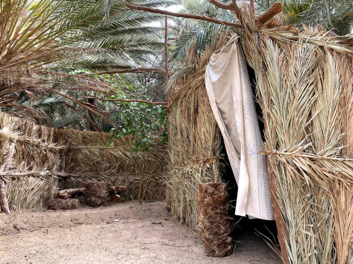 Forest Camp Siwa - كامب الغابة シワ・オアシス エクステリア 写真