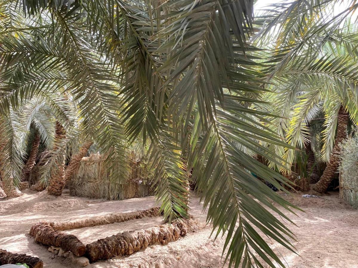 Forest Camp Siwa - كامب الغابة シワ・オアシス エクステリア 写真