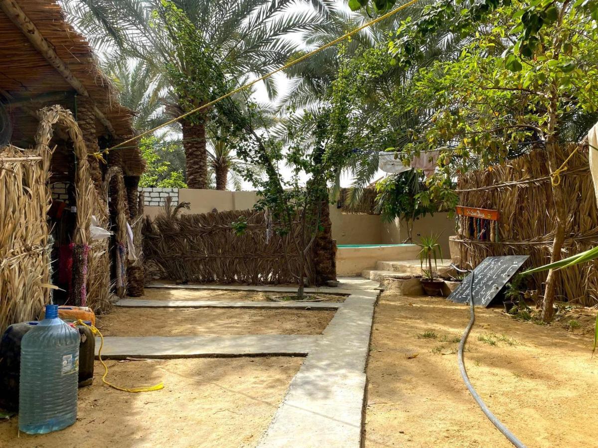 Forest Camp Siwa - كامب الغابة シワ・オアシス エクステリア 写真