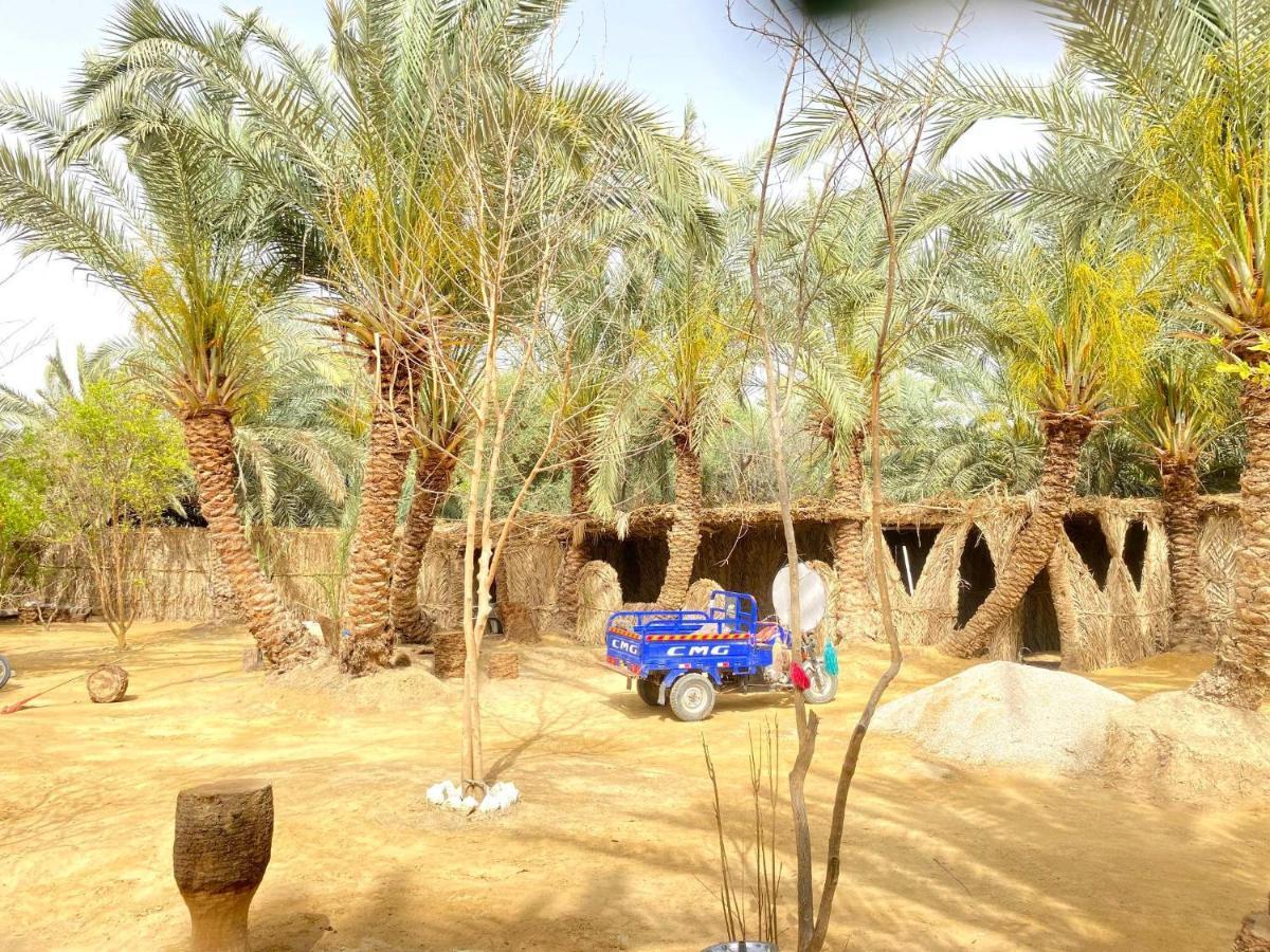 Forest Camp Siwa - كامب الغابة シワ・オアシス エクステリア 写真