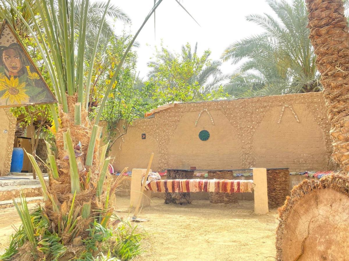 Forest Camp Siwa - كامب الغابة シワ・オアシス エクステリア 写真