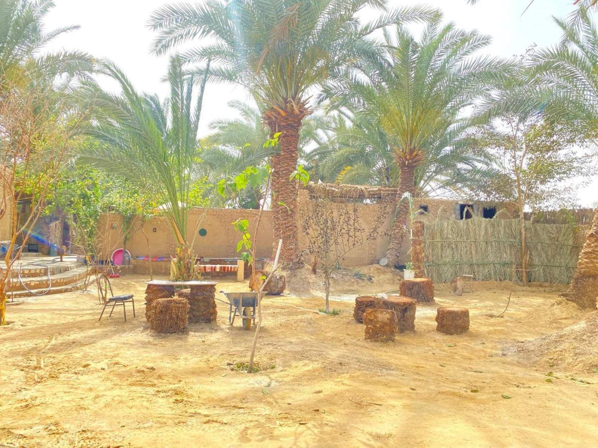 Forest Camp Siwa - كامب الغابة シワ・オアシス エクステリア 写真