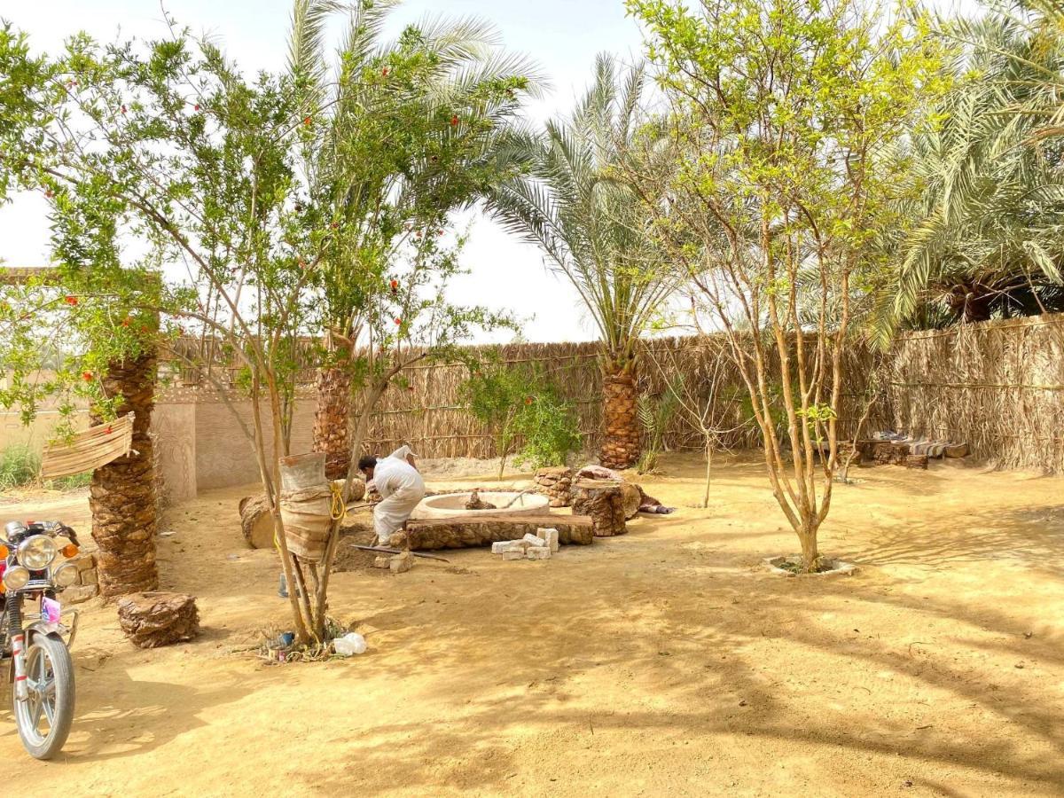 Forest Camp Siwa - كامب الغابة シワ・オアシス エクステリア 写真