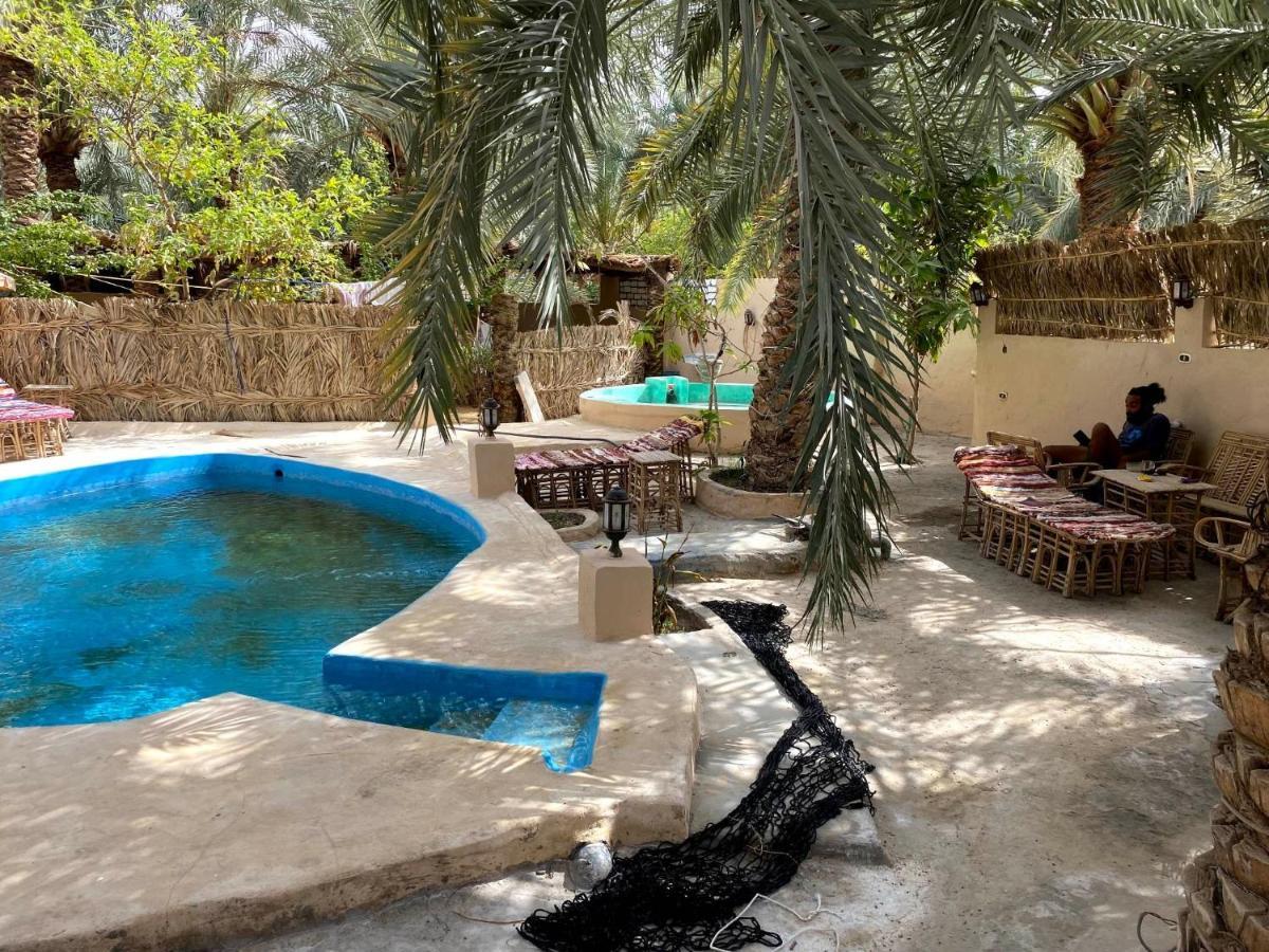Forest Camp Siwa - كامب الغابة シワ・オアシス エクステリア 写真