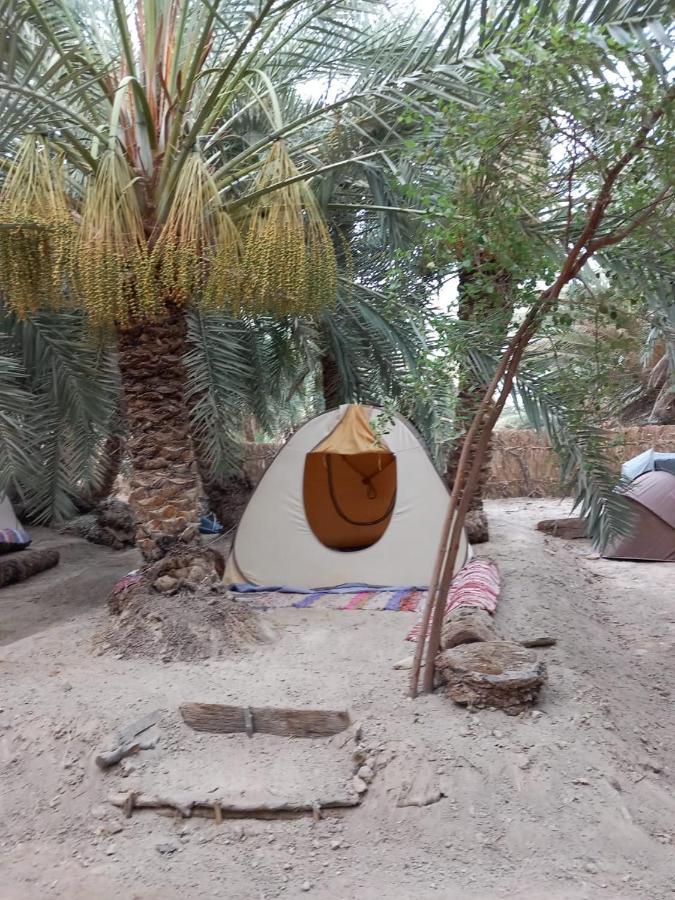 Forest Camp Siwa - كامب الغابة シワ・オアシス エクステリア 写真