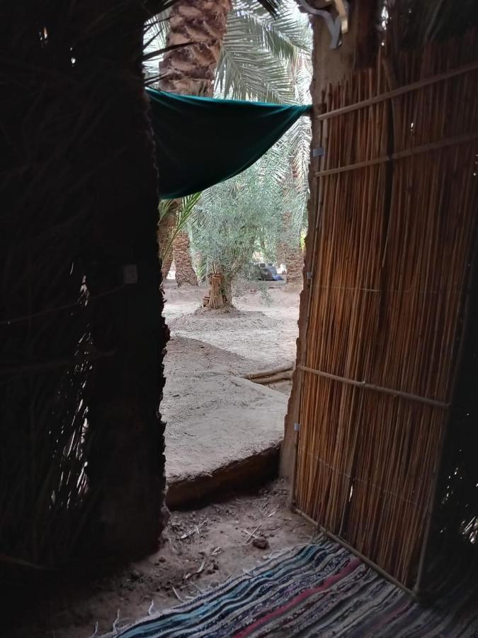 Forest Camp Siwa - كامب الغابة シワ・オアシス エクステリア 写真