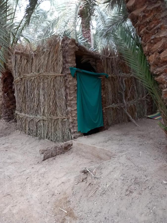 Forest Camp Siwa - كامب الغابة シワ・オアシス エクステリア 写真