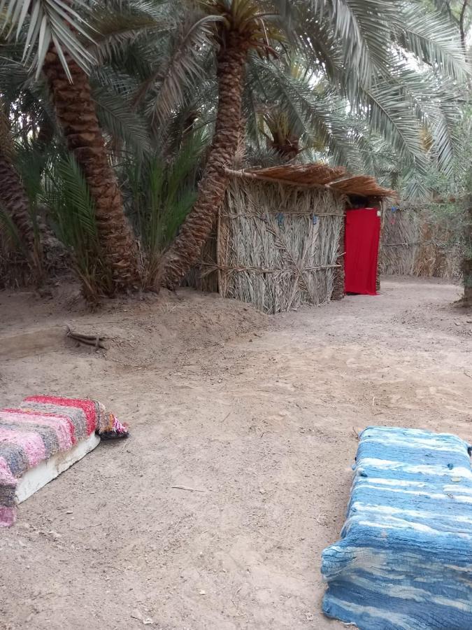 Forest Camp Siwa - كامب الغابة シワ・オアシス エクステリア 写真