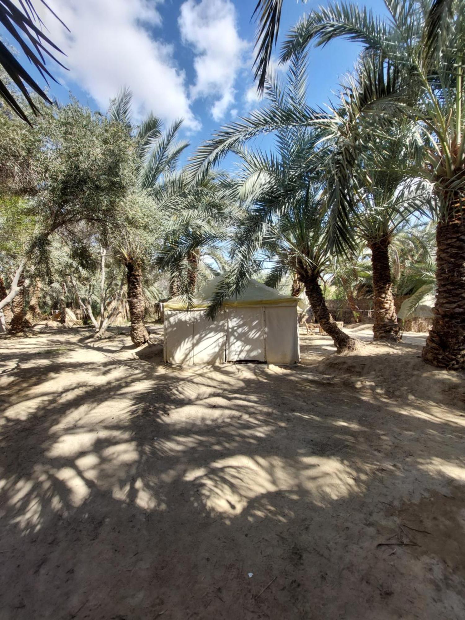 Forest Camp Siwa - كامب الغابة シワ・オアシス エクステリア 写真