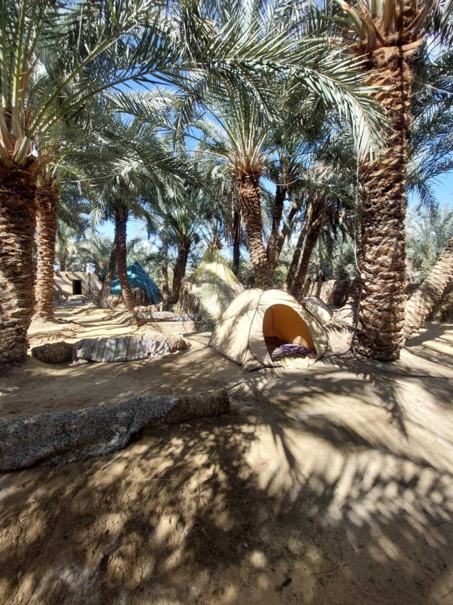 Forest Camp Siwa - كامب الغابة シワ・オアシス エクステリア 写真