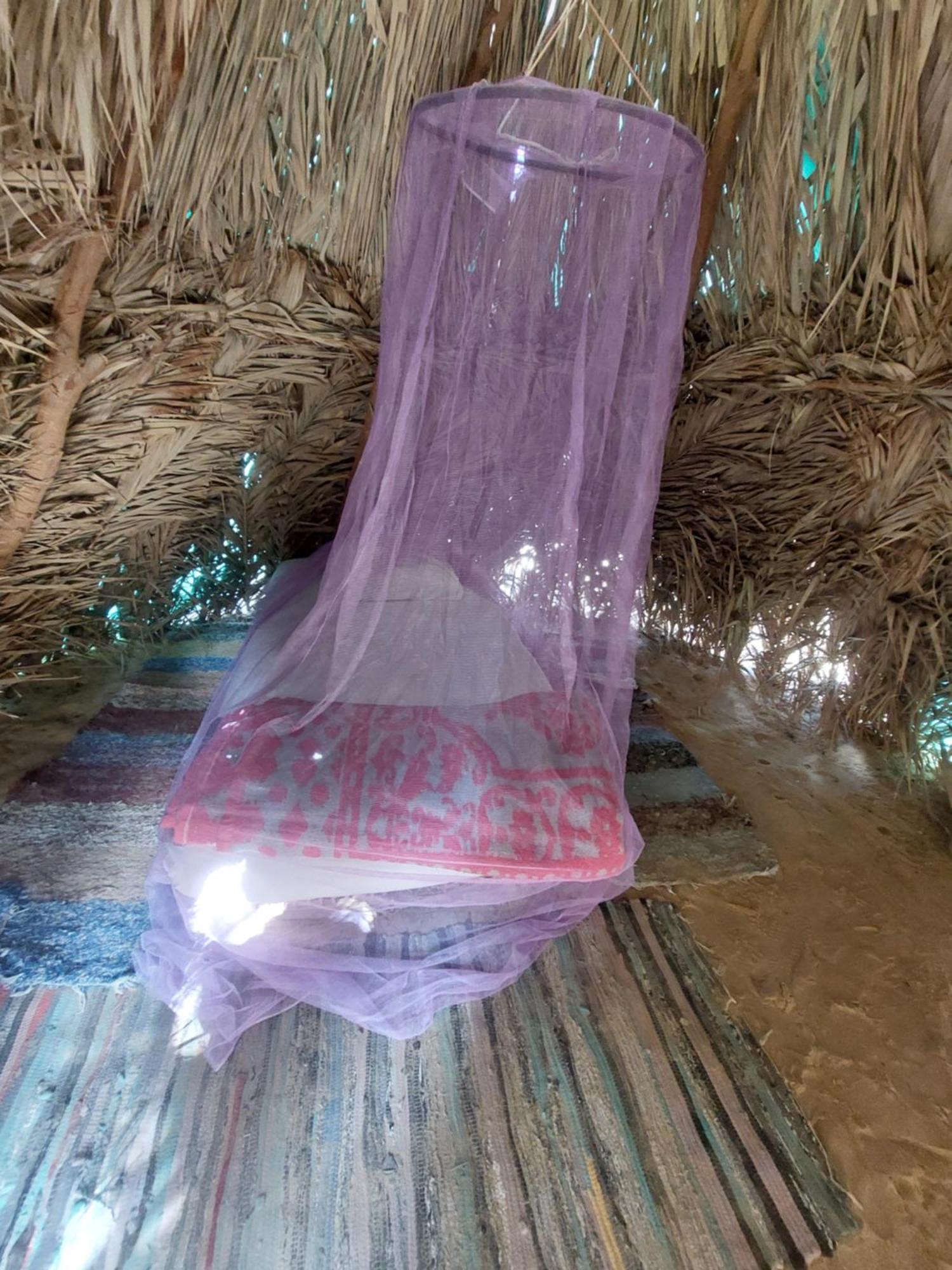 Forest Camp Siwa - كامب الغابة シワ・オアシス エクステリア 写真