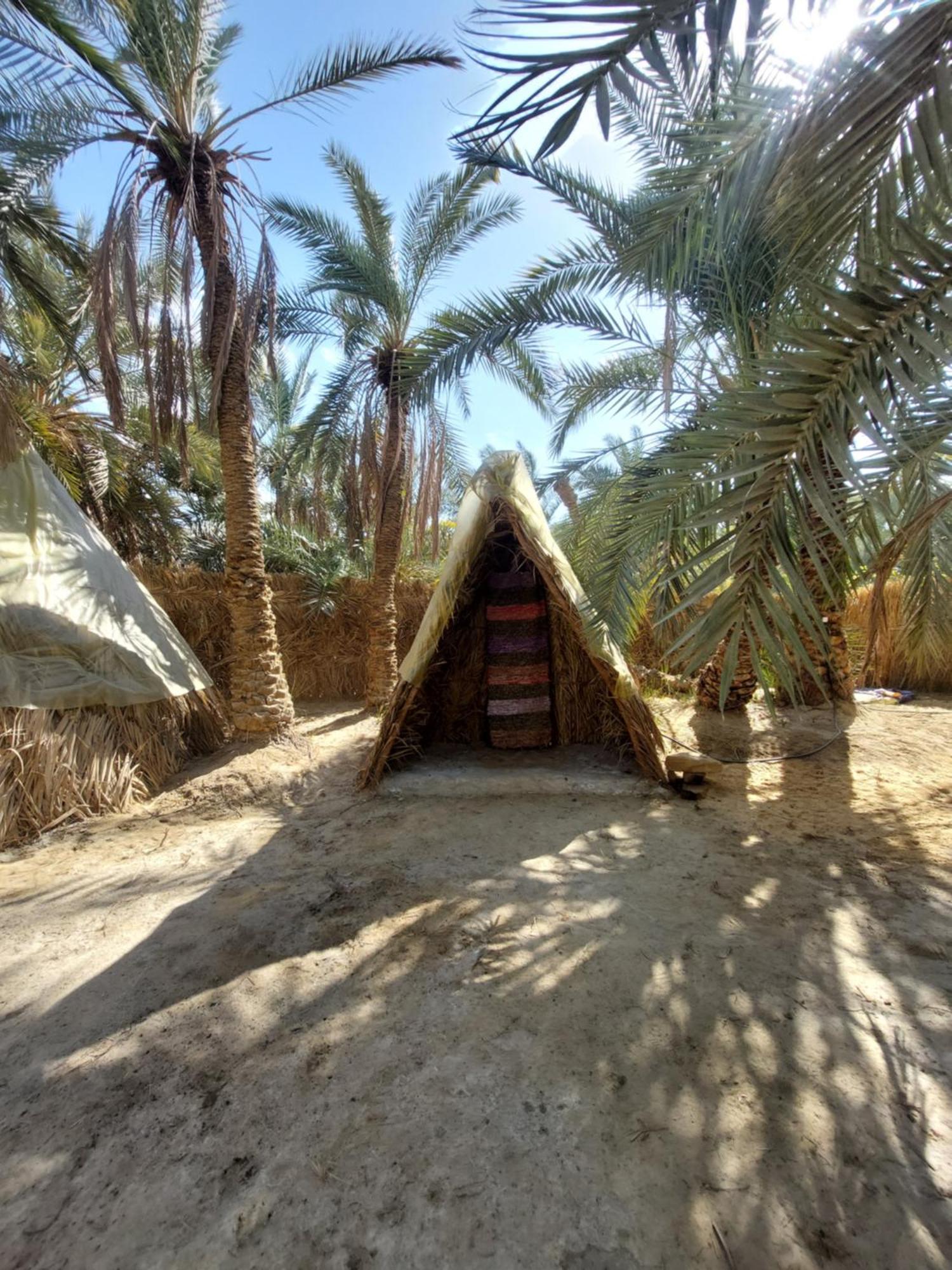 Forest Camp Siwa - كامب الغابة シワ・オアシス エクステリア 写真