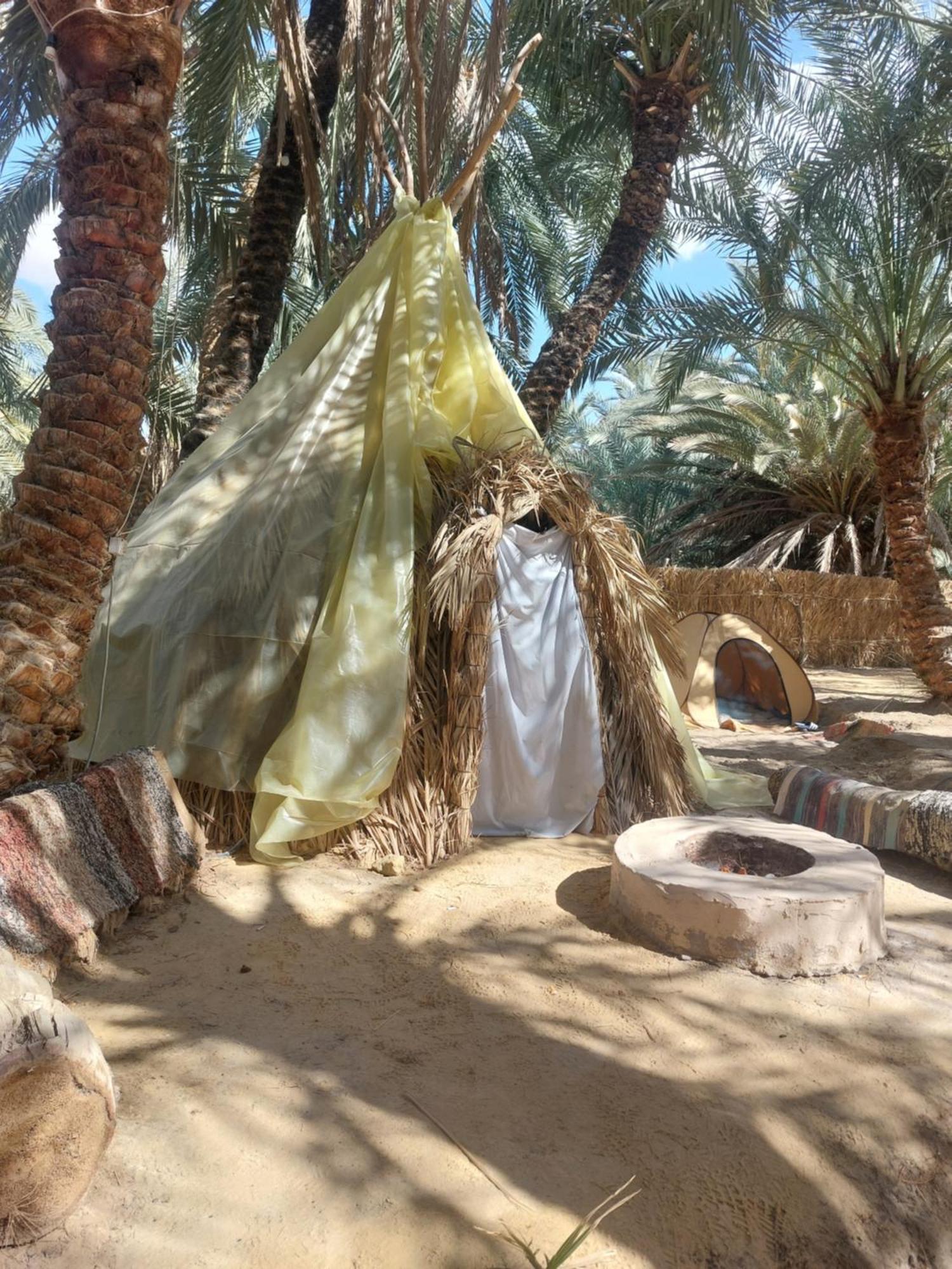 Forest Camp Siwa - كامب الغابة シワ・オアシス エクステリア 写真