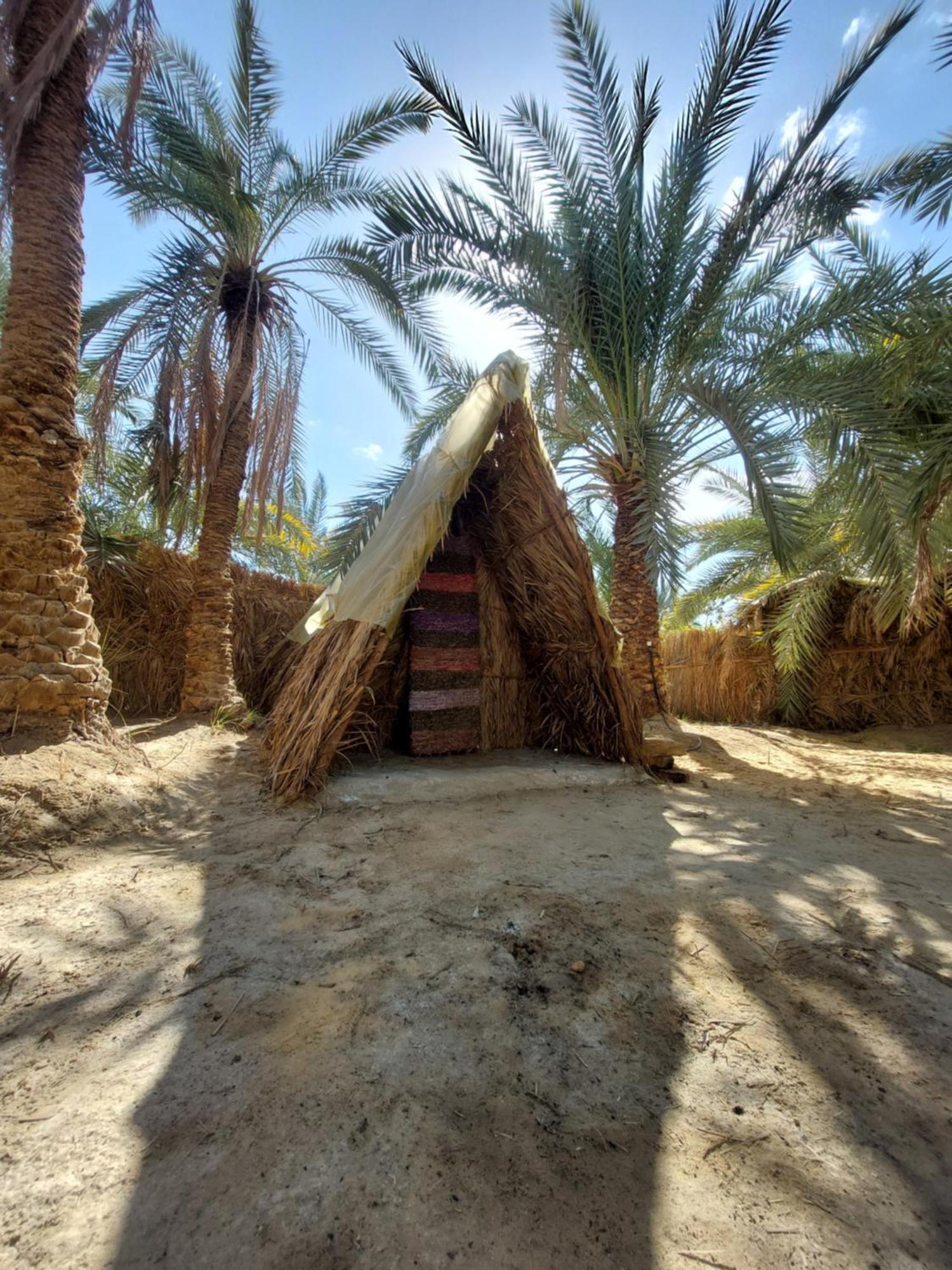 Forest Camp Siwa - كامب الغابة シワ・オアシス エクステリア 写真