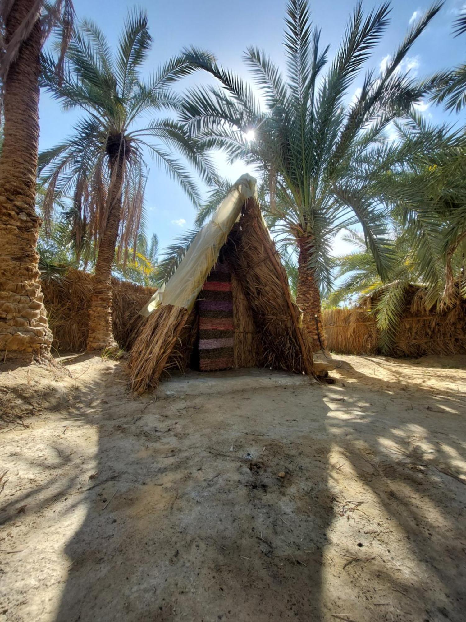 Forest Camp Siwa - كامب الغابة シワ・オアシス エクステリア 写真