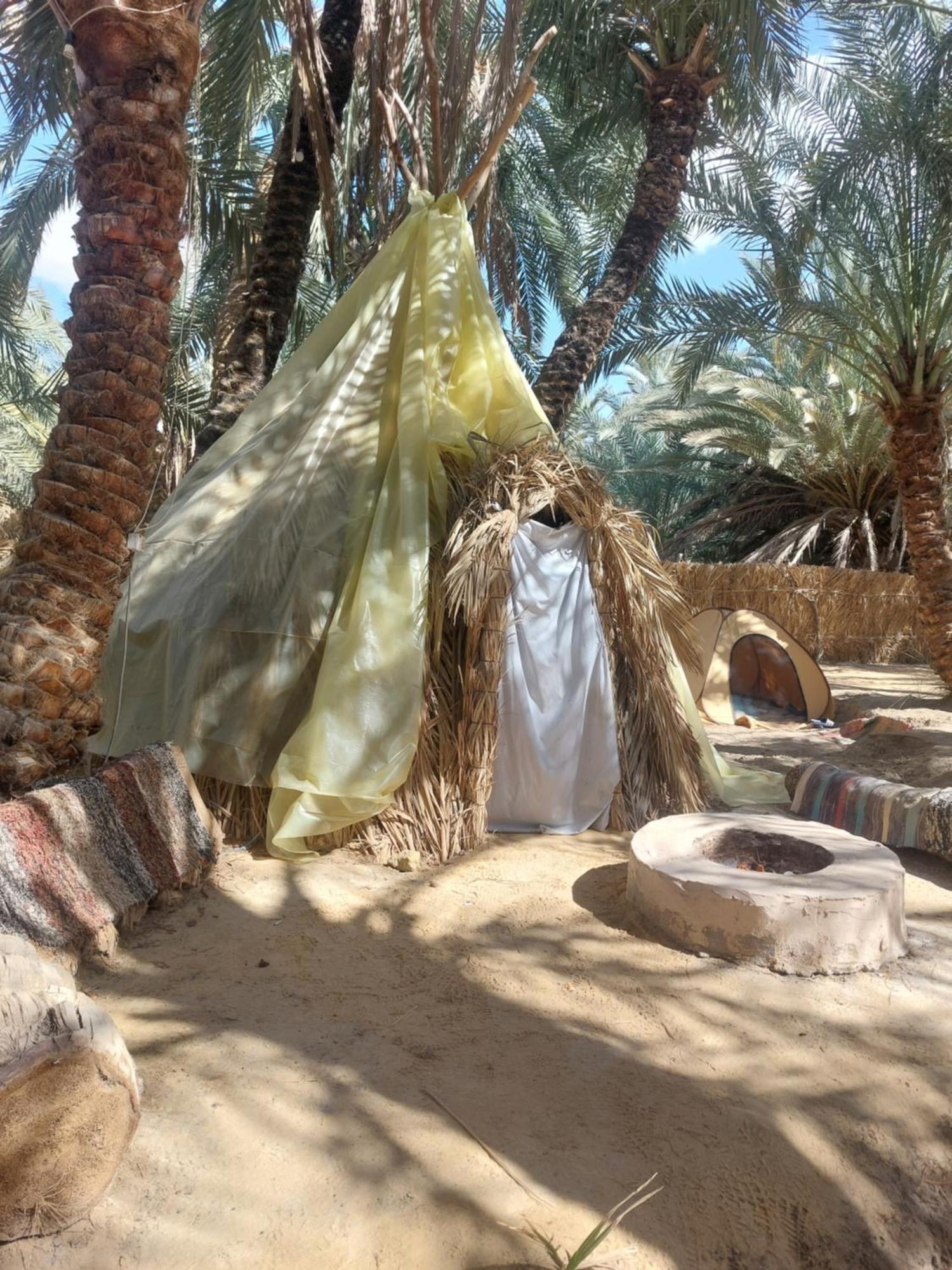Forest Camp Siwa - كامب الغابة シワ・オアシス エクステリア 写真