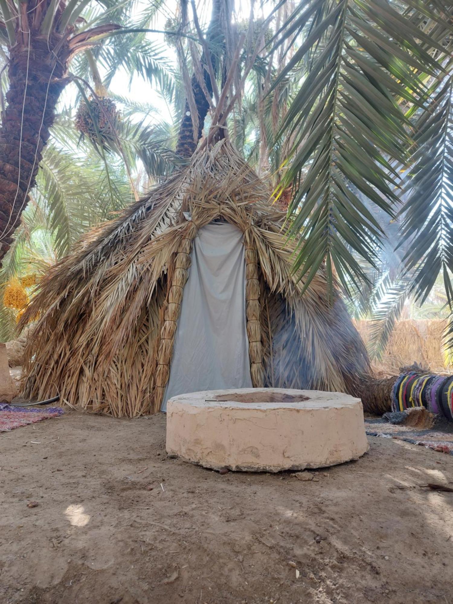 Forest Camp Siwa - كامب الغابة シワ・オアシス エクステリア 写真