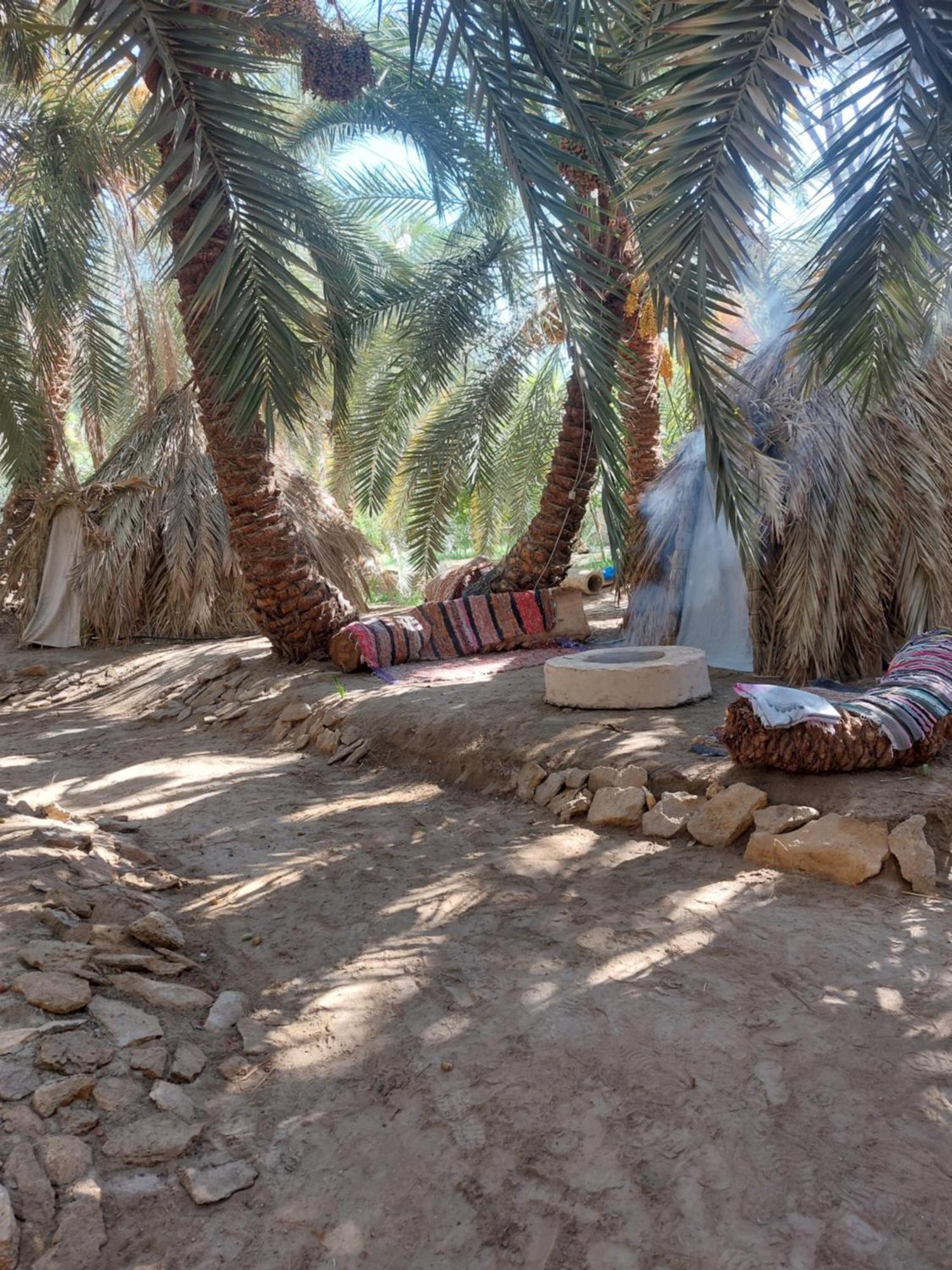 Forest Camp Siwa - كامب الغابة シワ・オアシス エクステリア 写真