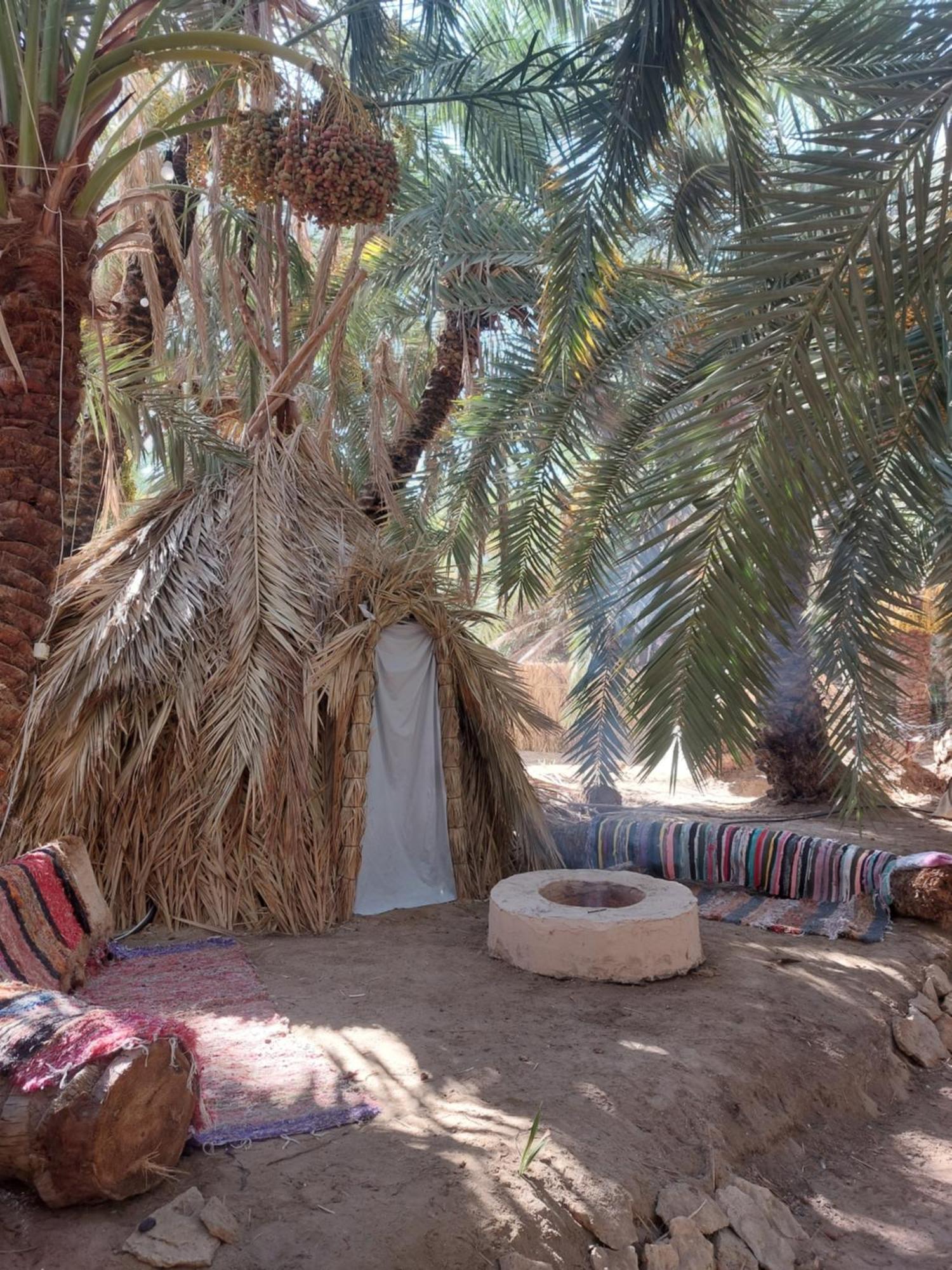 Forest Camp Siwa - كامب الغابة シワ・オアシス エクステリア 写真