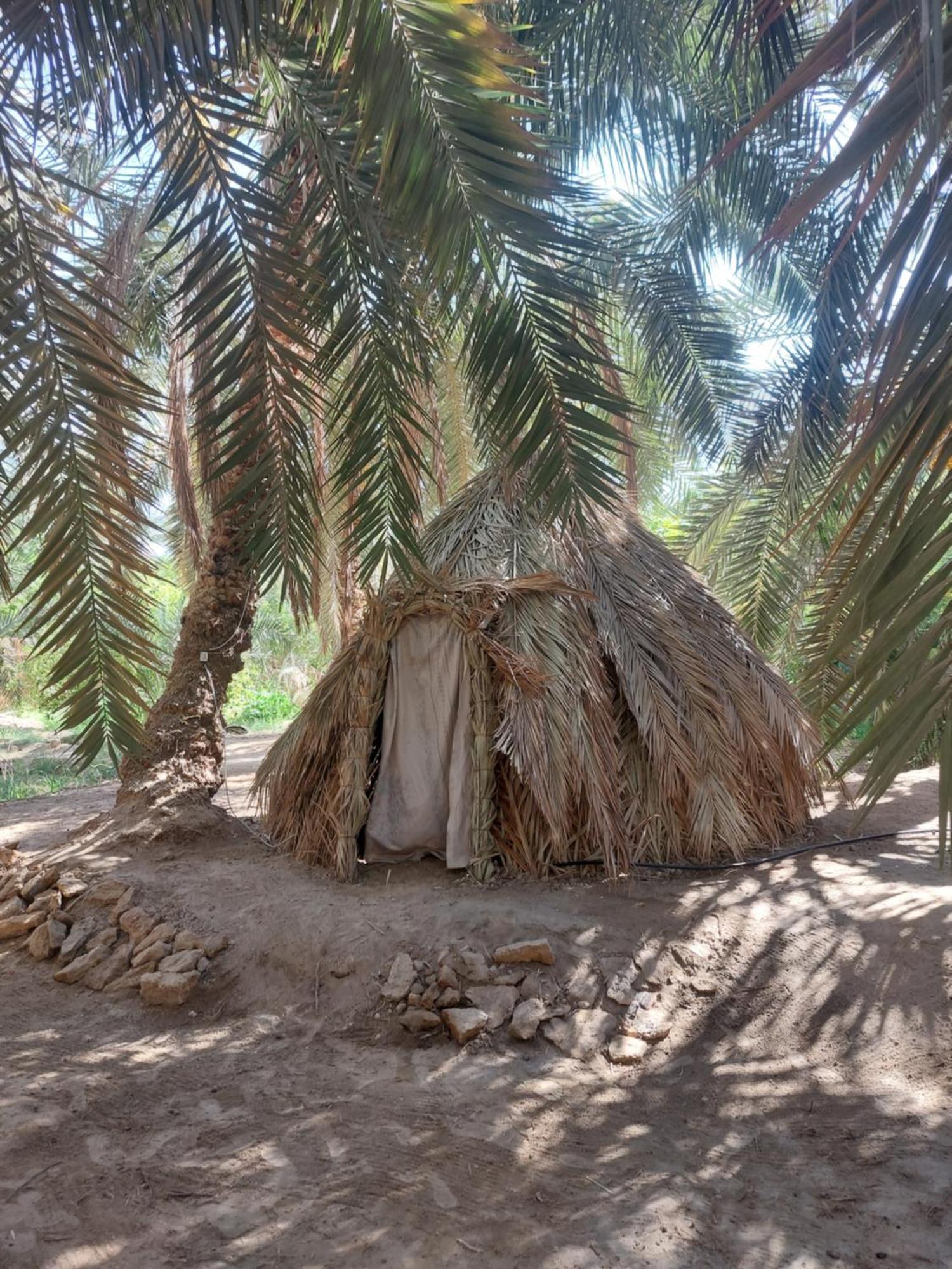 Forest Camp Siwa - كامب الغابة シワ・オアシス エクステリア 写真