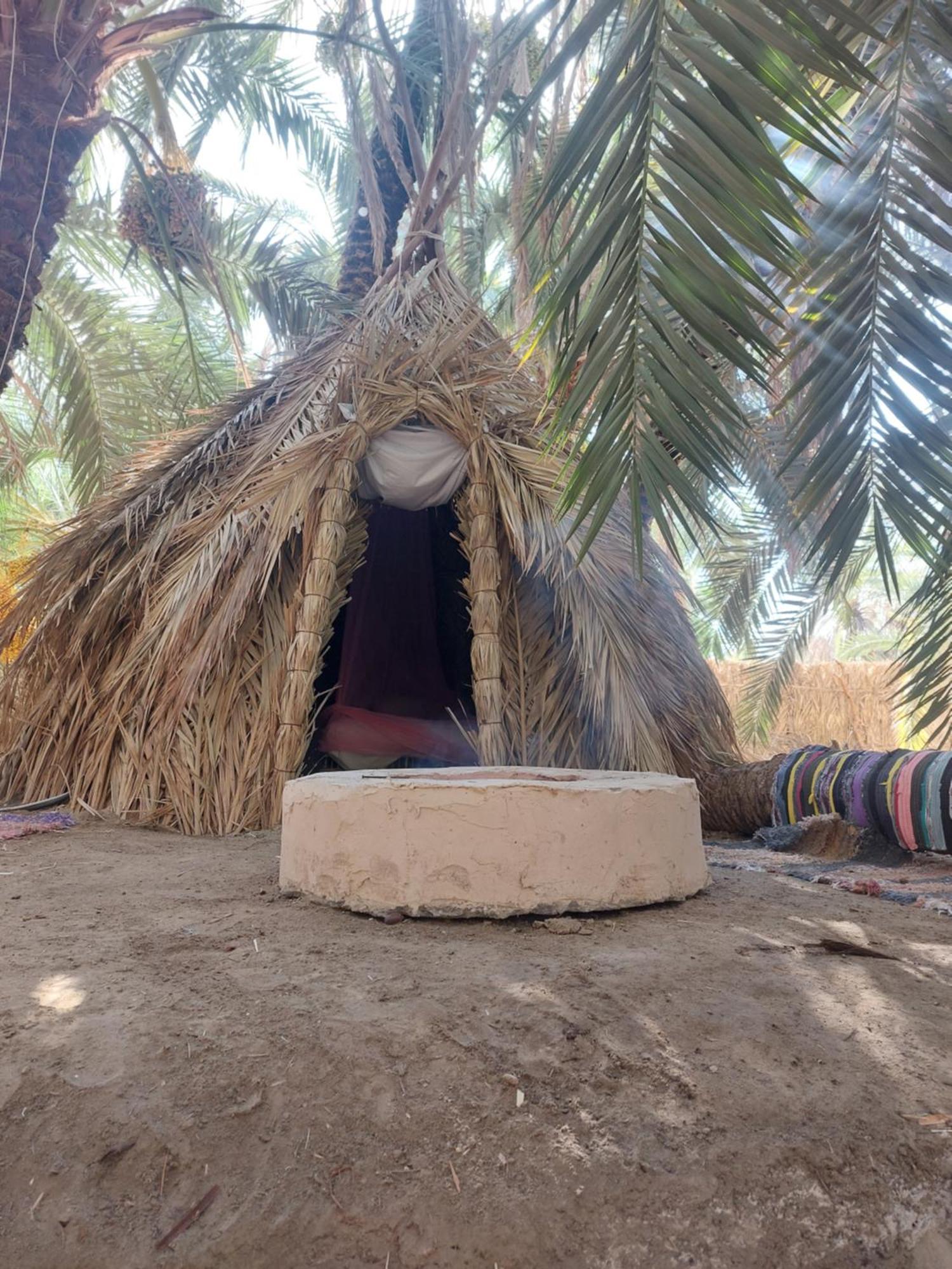 Forest Camp Siwa - كامب الغابة シワ・オアシス エクステリア 写真