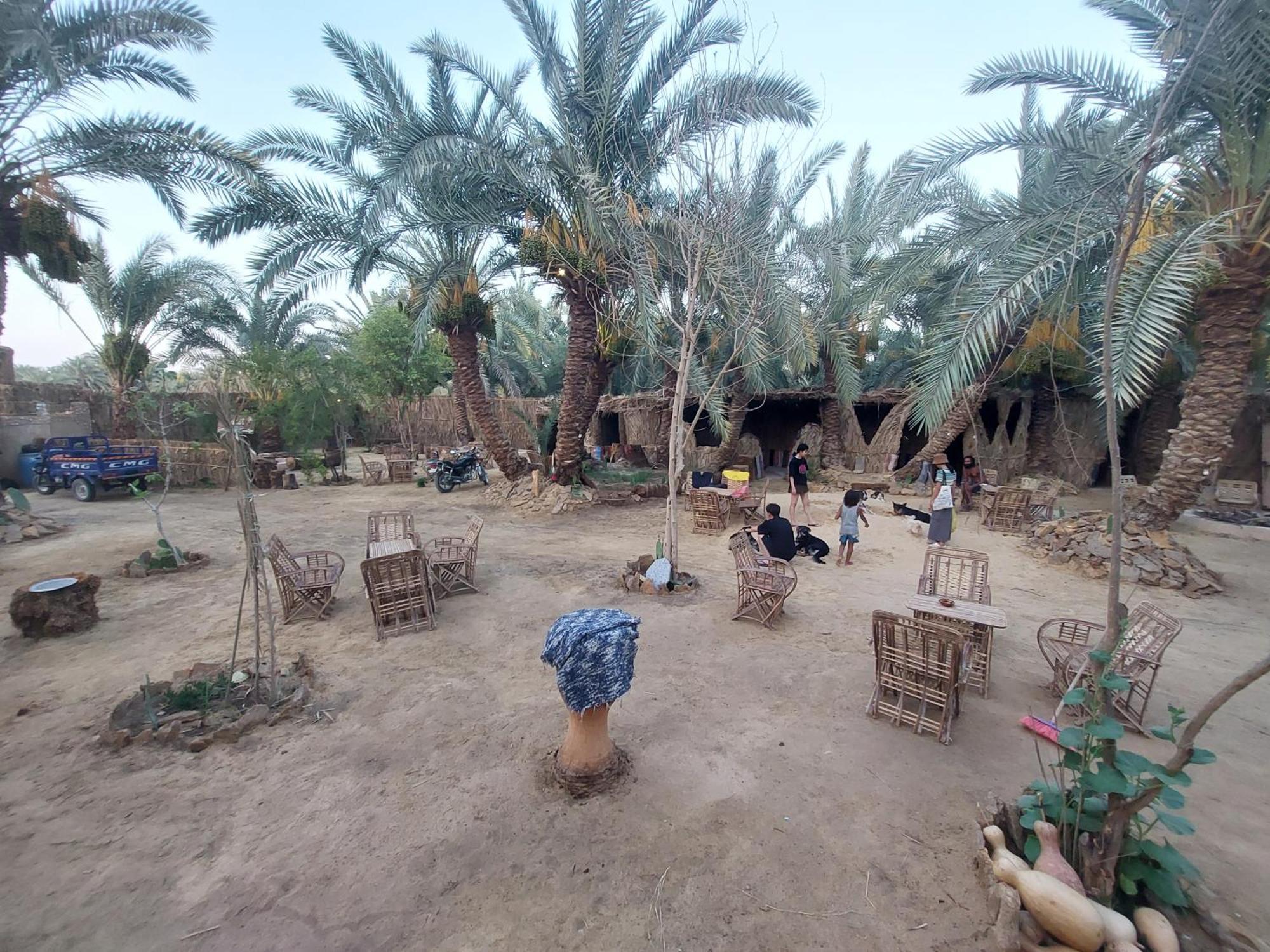 Forest Camp Siwa - كامب الغابة シワ・オアシス エクステリア 写真