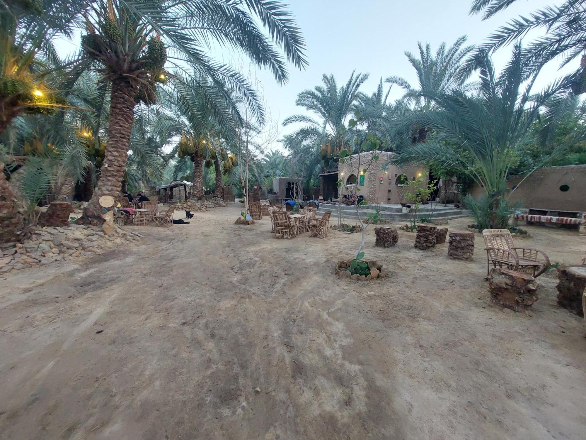 Forest Camp Siwa - كامب الغابة シワ・オアシス エクステリア 写真