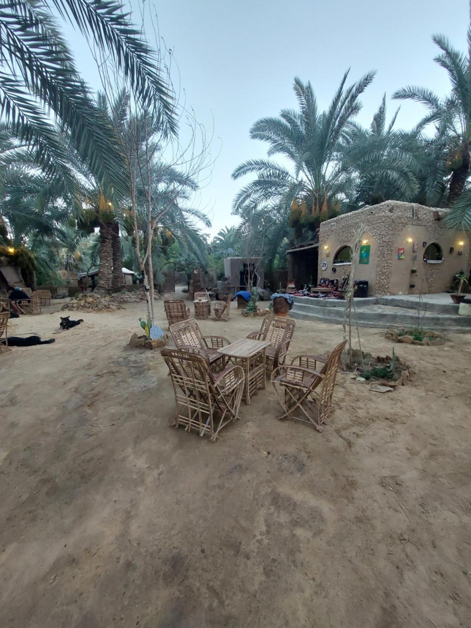 Forest Camp Siwa - كامب الغابة シワ・オアシス エクステリア 写真
