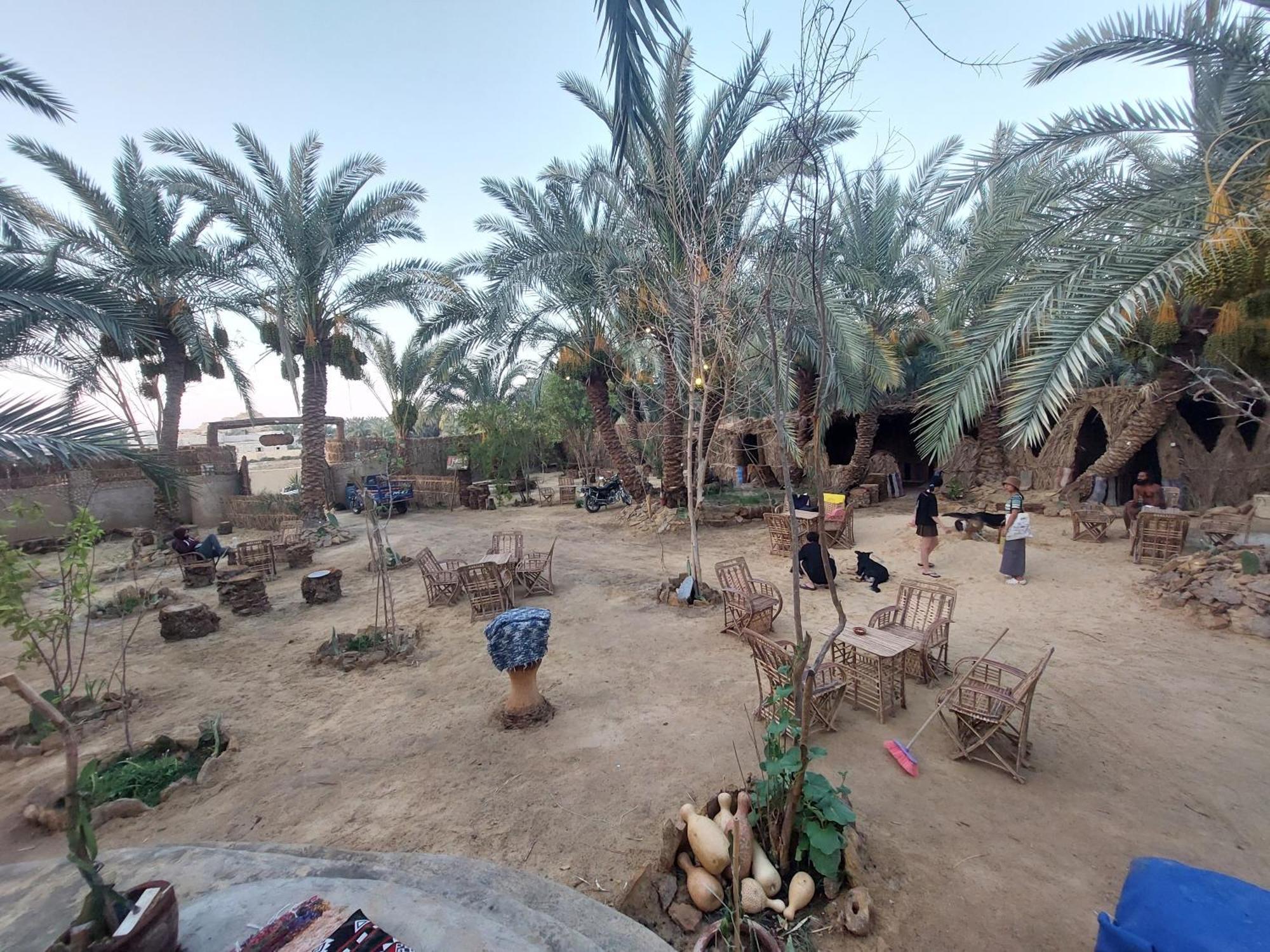 Forest Camp Siwa - كامب الغابة シワ・オアシス エクステリア 写真