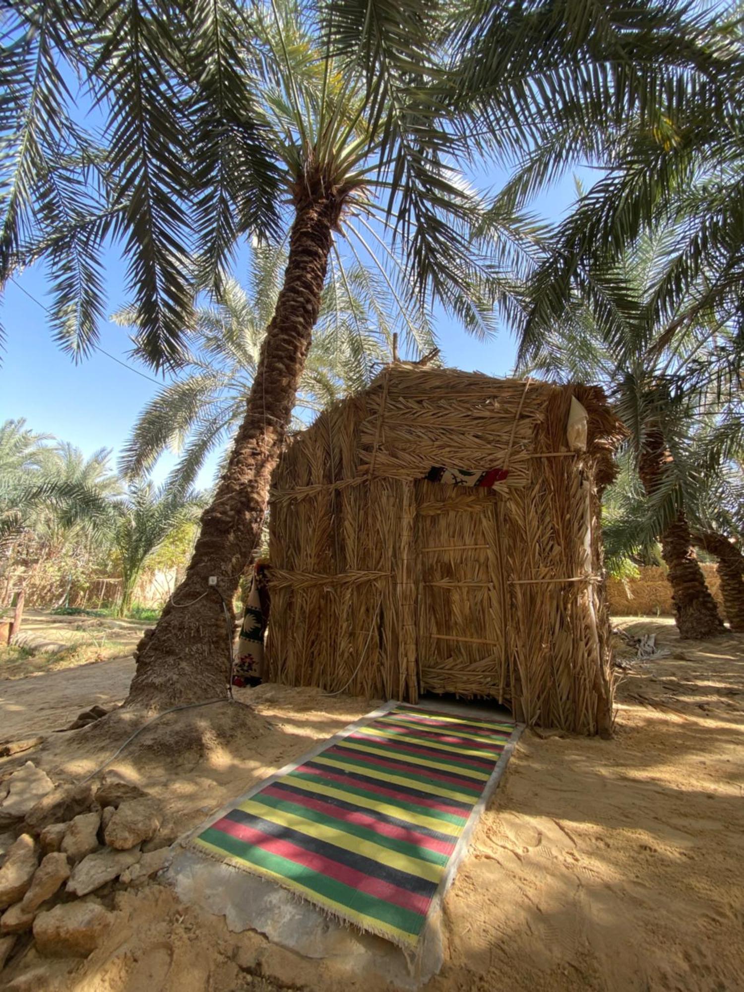 Forest Camp Siwa - كامب الغابة シワ・オアシス エクステリア 写真