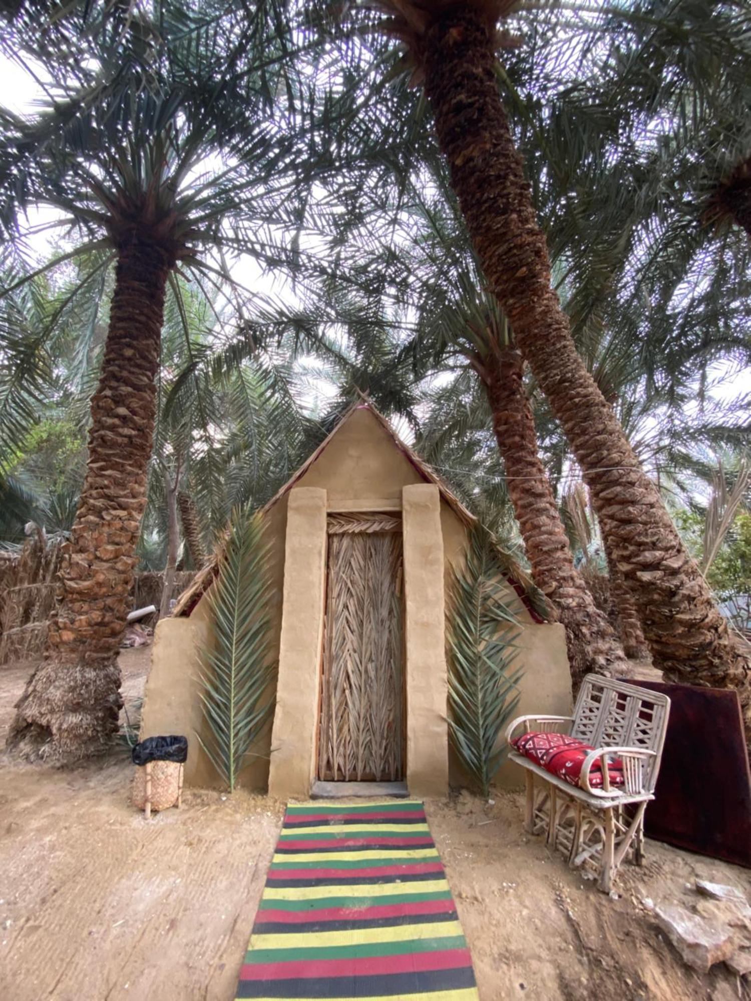 Forest Camp Siwa - كامب الغابة シワ・オアシス エクステリア 写真