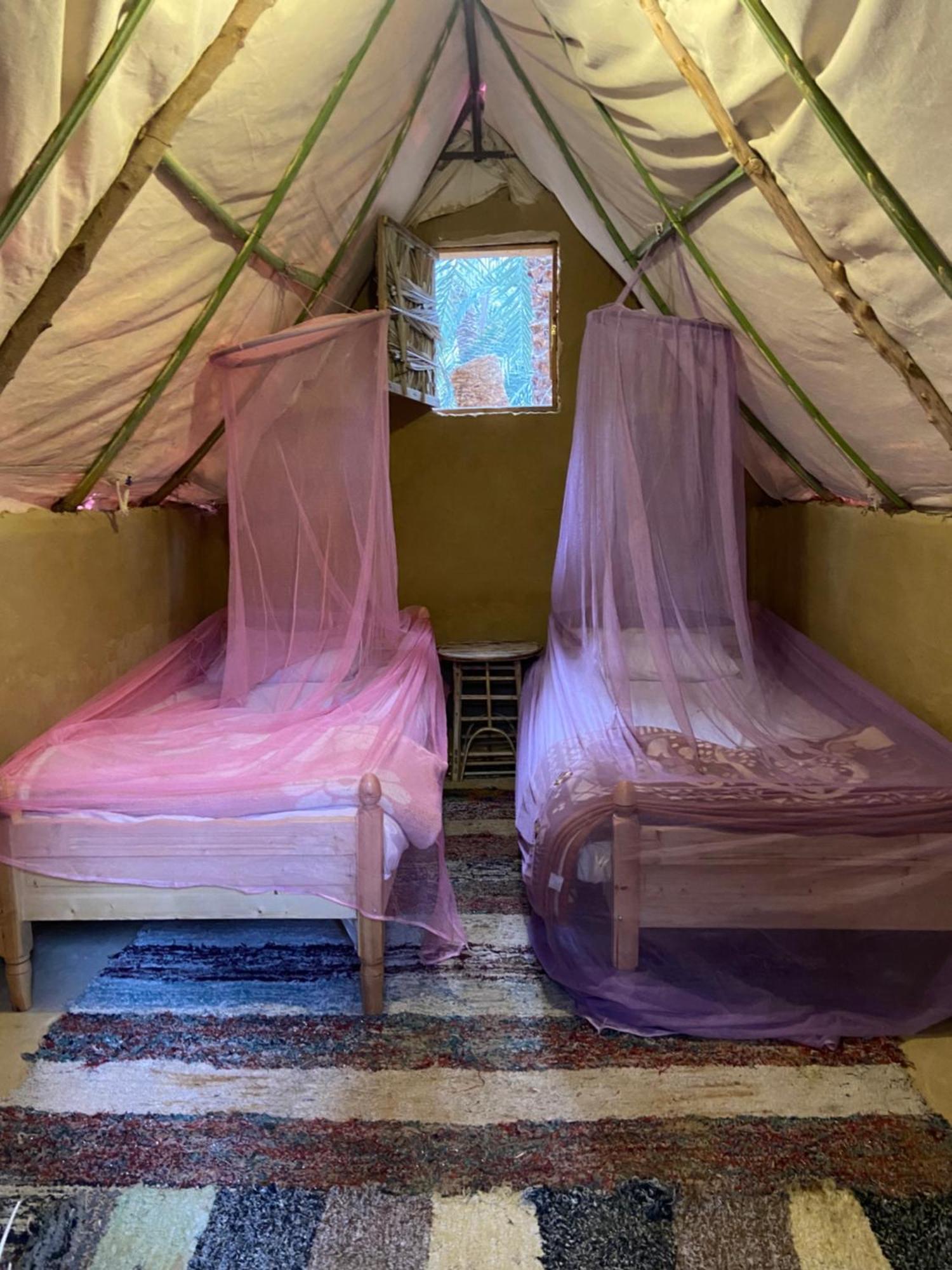 Forest Camp Siwa - كامب الغابة シワ・オアシス エクステリア 写真