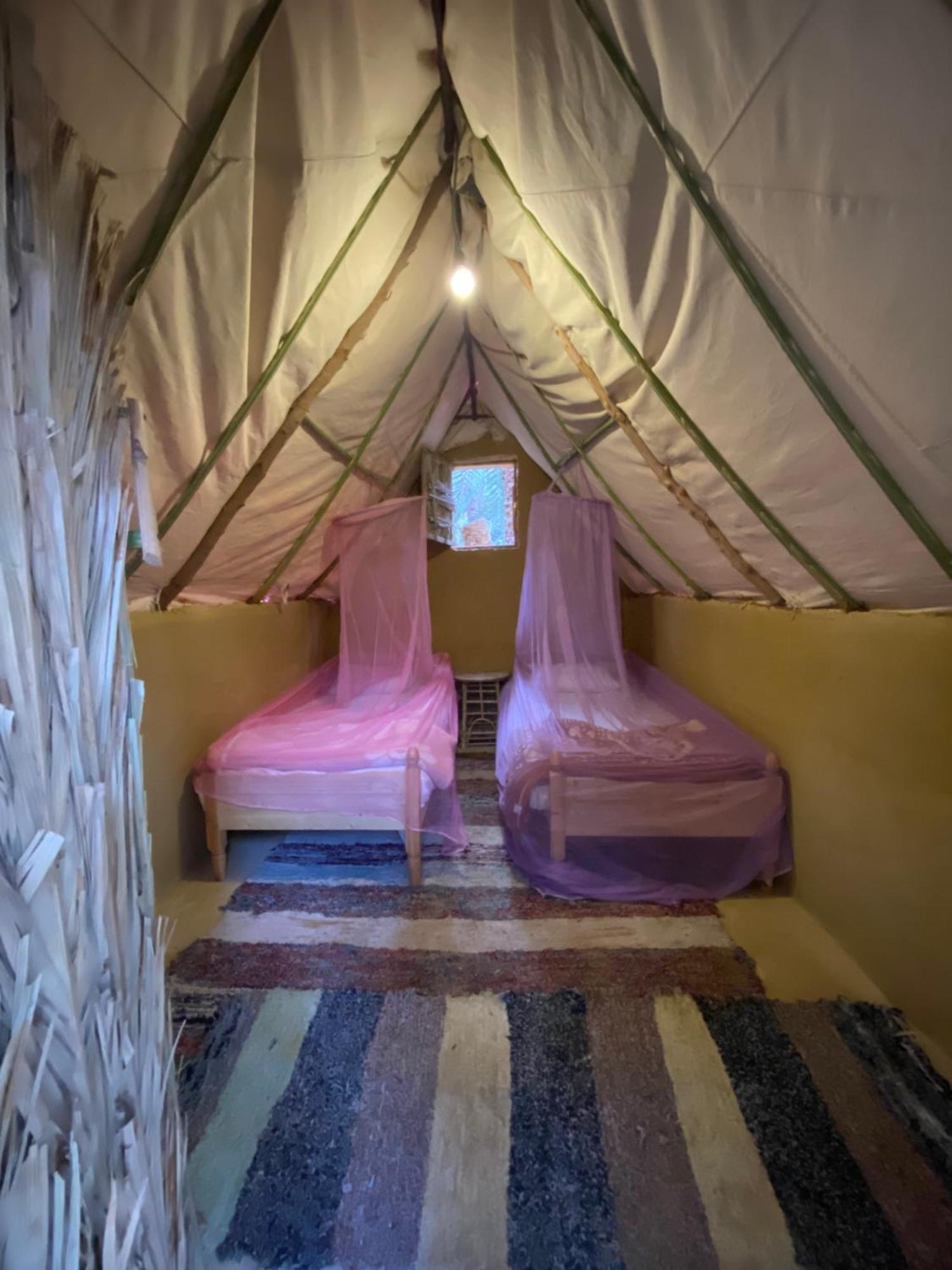 Forest Camp Siwa - كامب الغابة シワ・オアシス エクステリア 写真