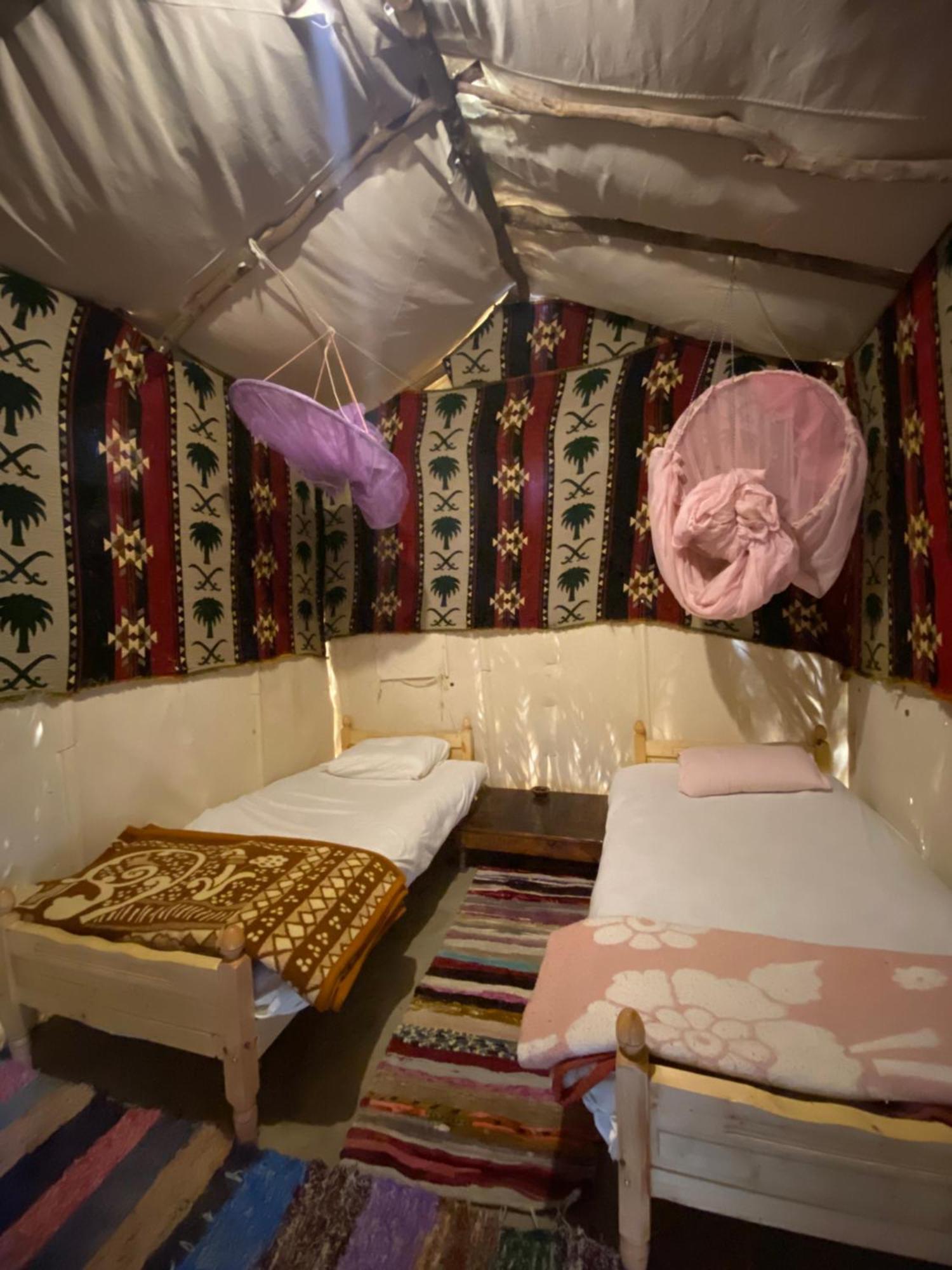 Forest Camp Siwa - كامب الغابة シワ・オアシス エクステリア 写真