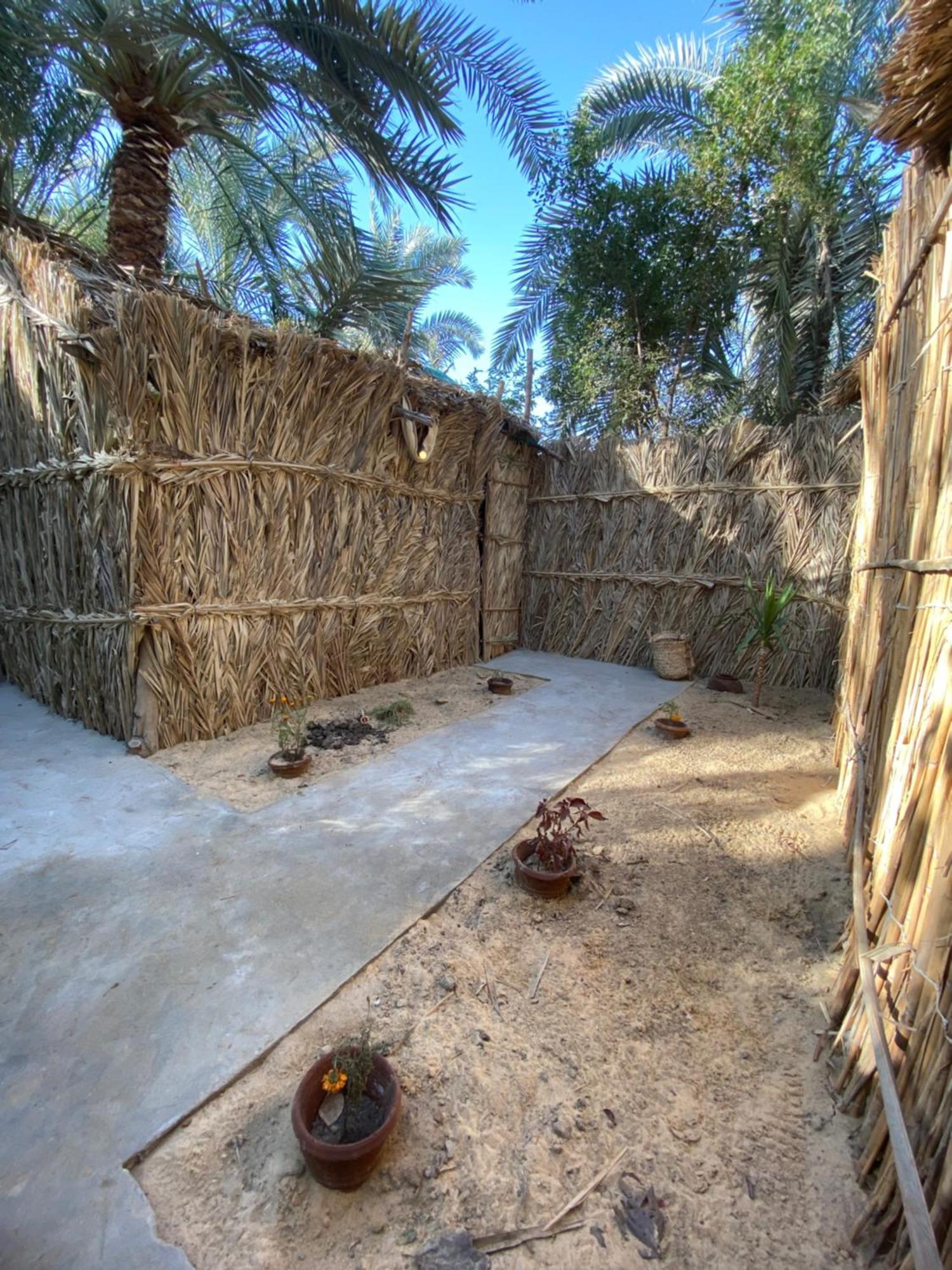 Forest Camp Siwa - كامب الغابة シワ・オアシス エクステリア 写真