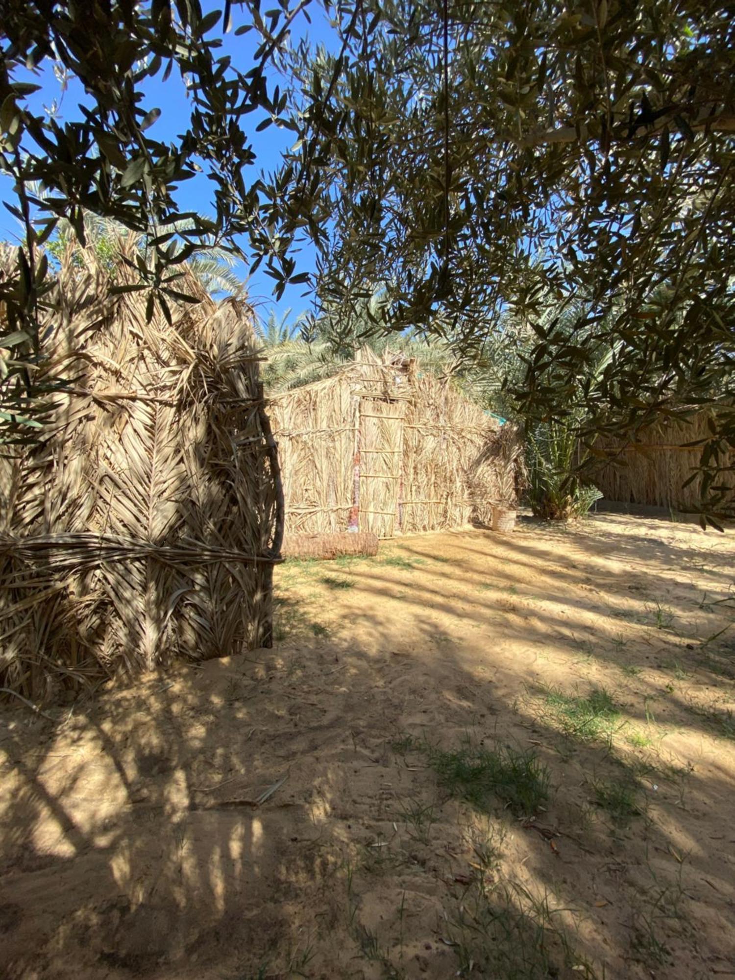 Forest Camp Siwa - كامب الغابة シワ・オアシス エクステリア 写真