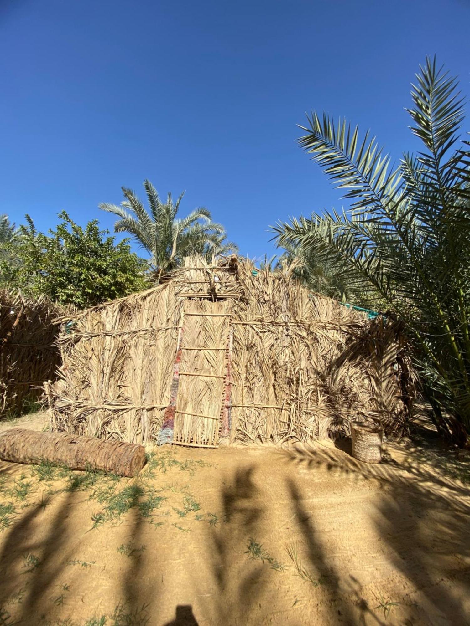 Forest Camp Siwa - كامب الغابة シワ・オアシス エクステリア 写真