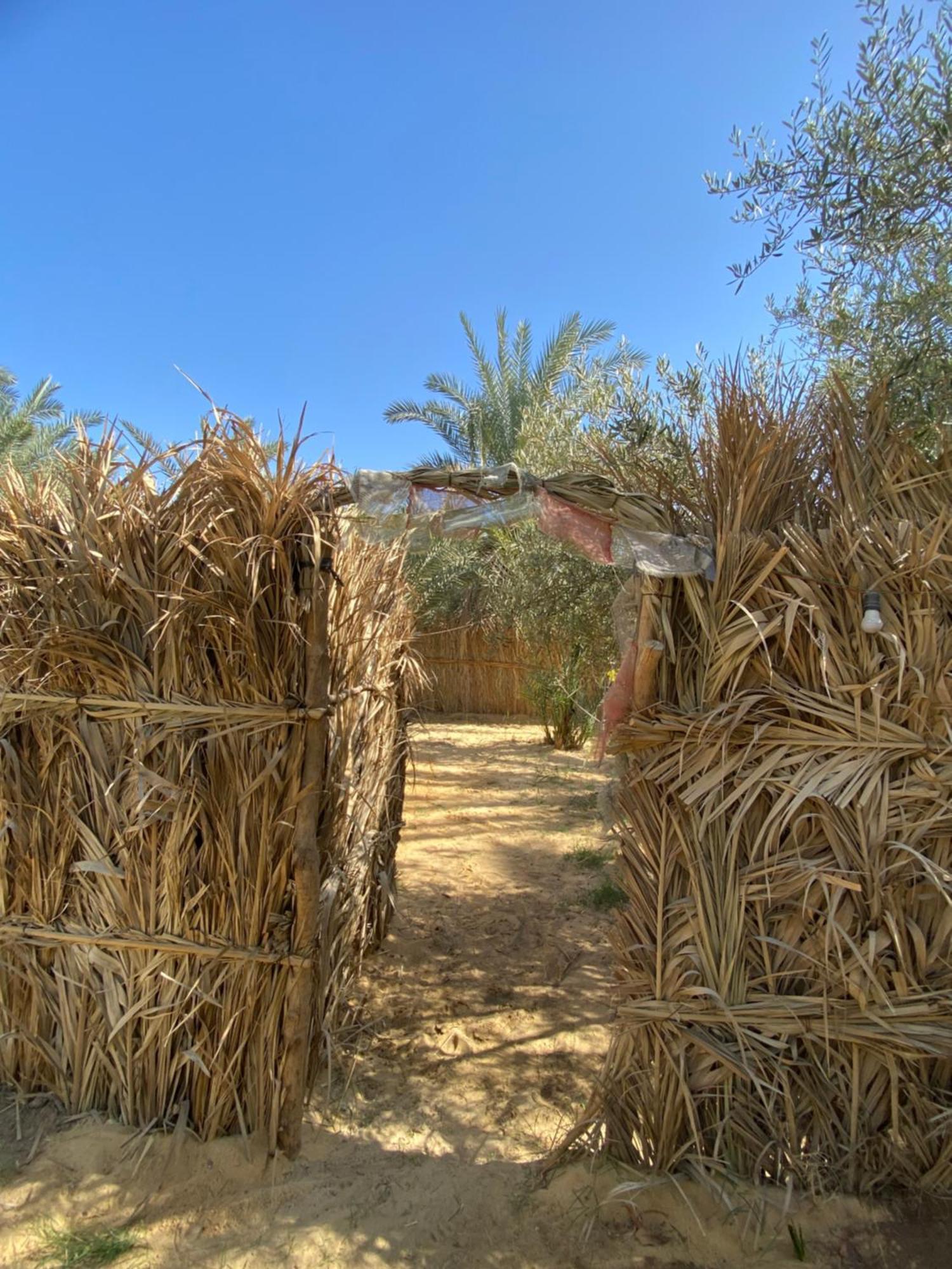 Forest Camp Siwa - كامب الغابة シワ・オアシス エクステリア 写真