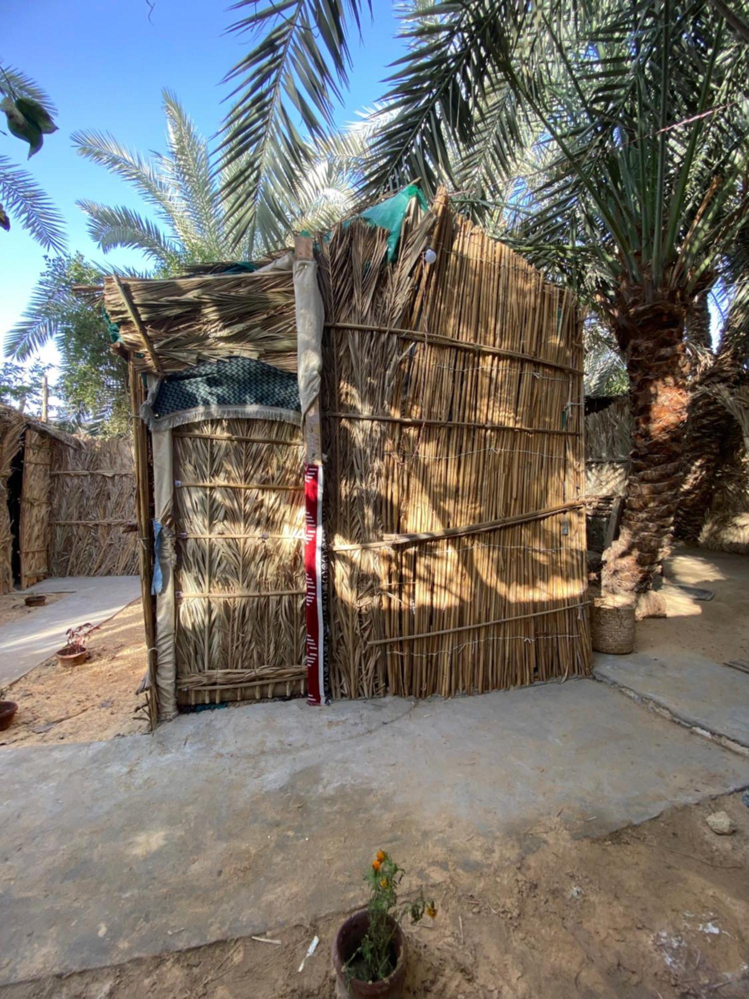 Forest Camp Siwa - كامب الغابة シワ・オアシス エクステリア 写真